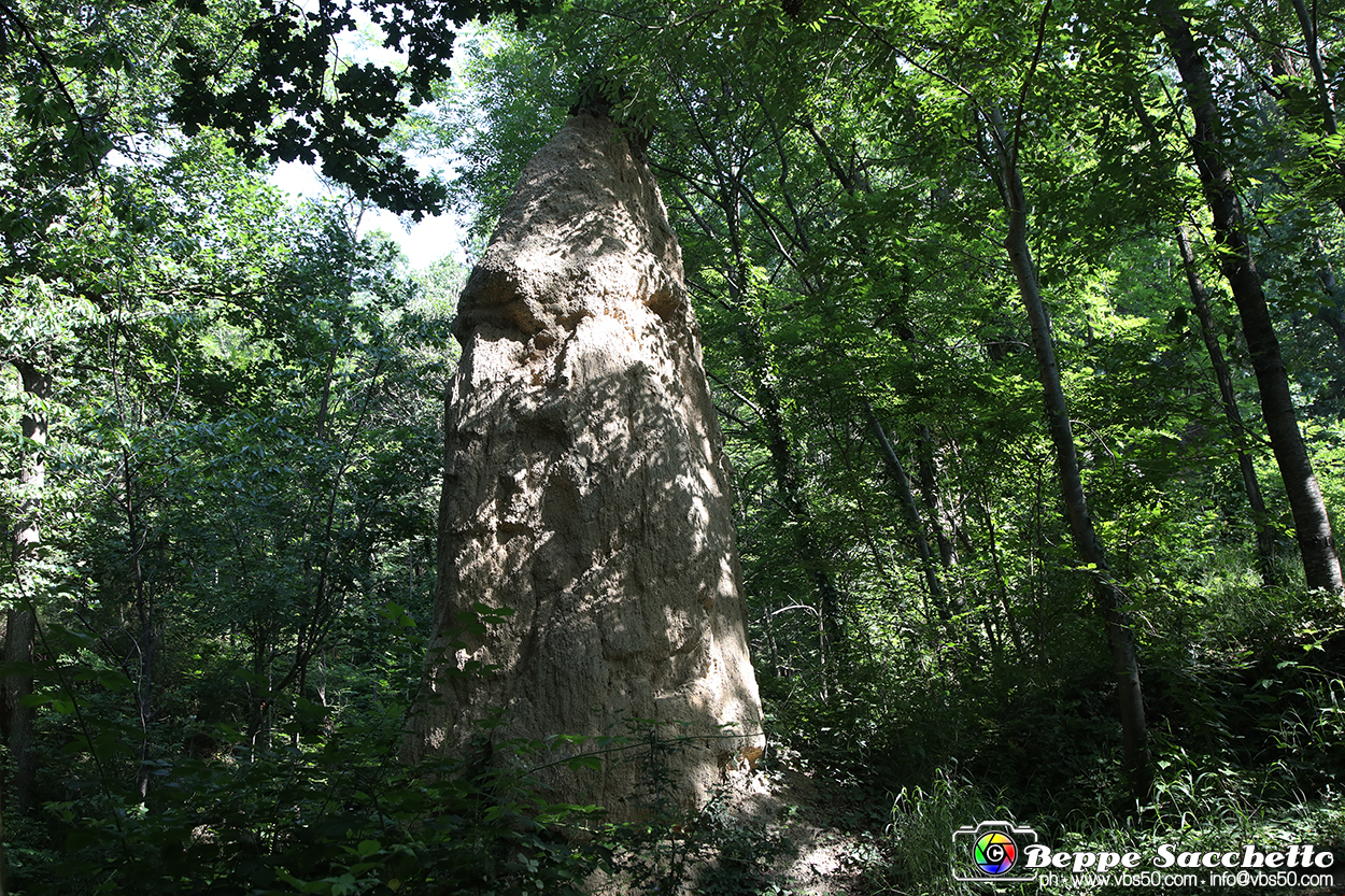 VBS_8925 - I Ciciu del Villar. Villar San Costanzo. Val Maira (Cuneo).jpg